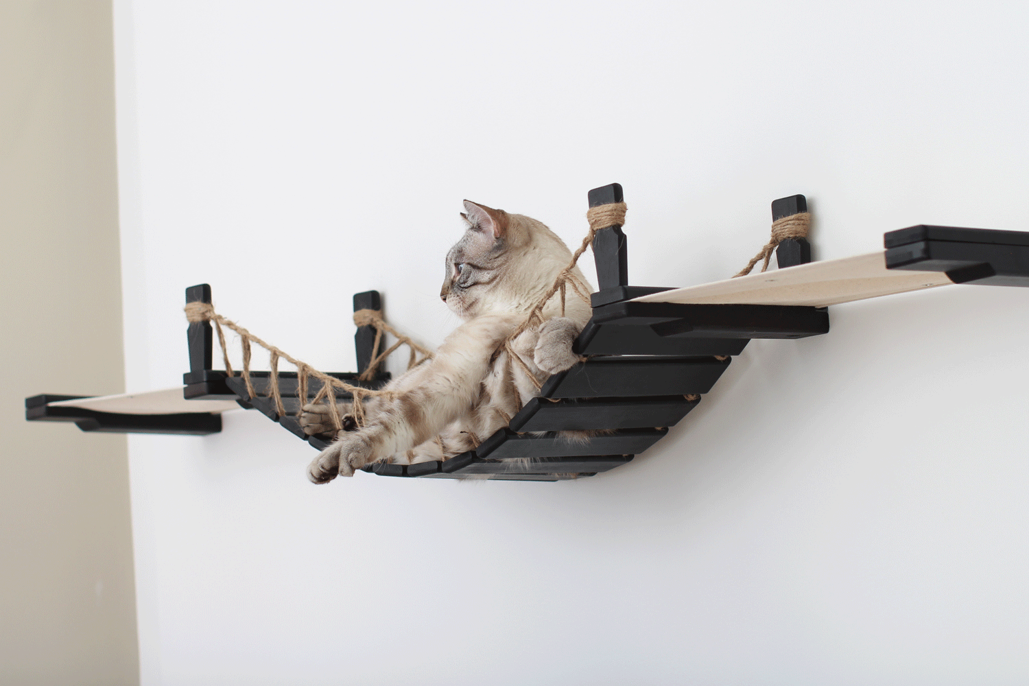 Double Cat Hammock and Climbing Bridge Combo Cat Bridge Catastrophic Creations