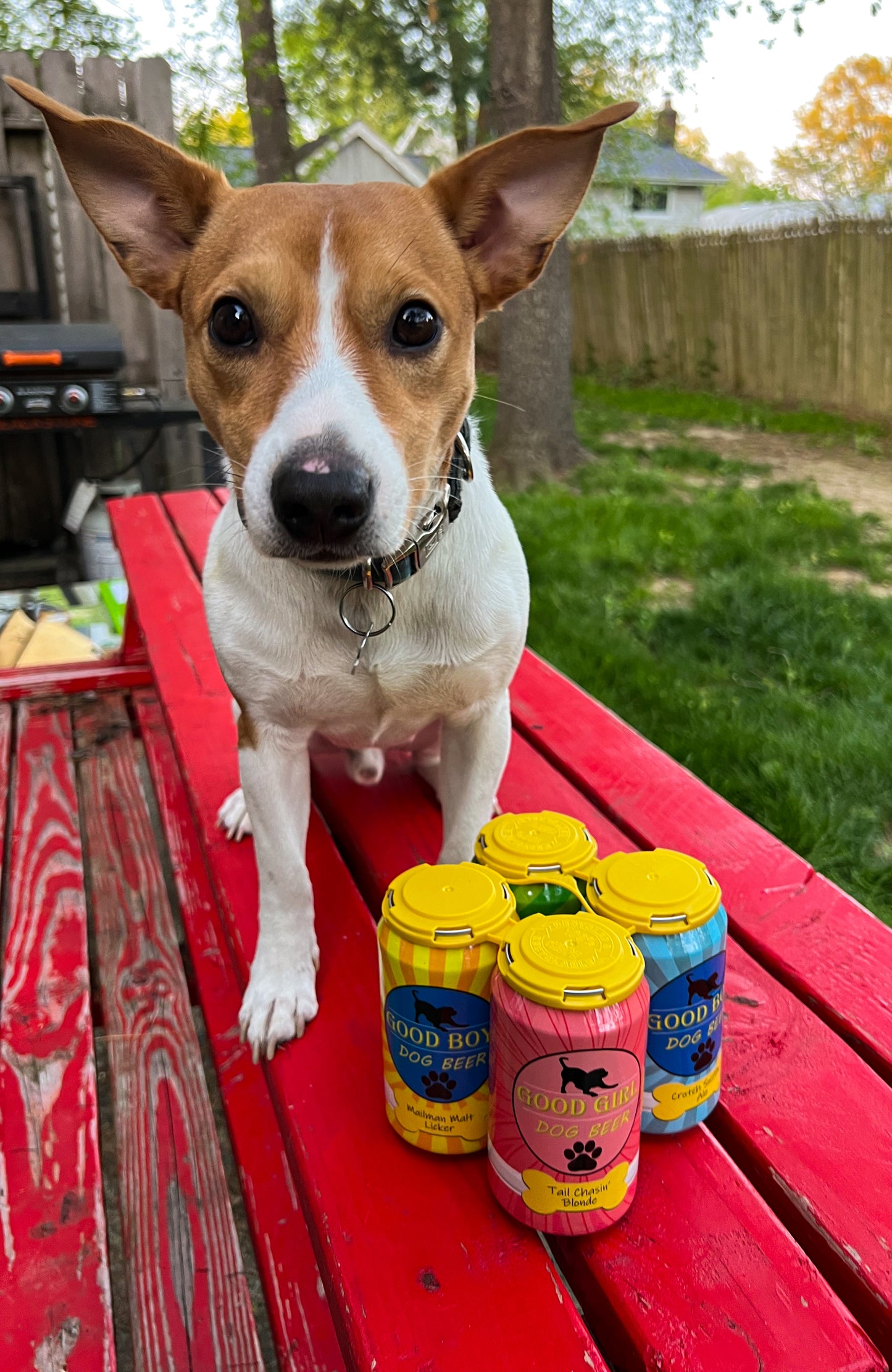 Good Boy Dog Beer - 4 pack Dog Treats Good Boy Dog Beer
