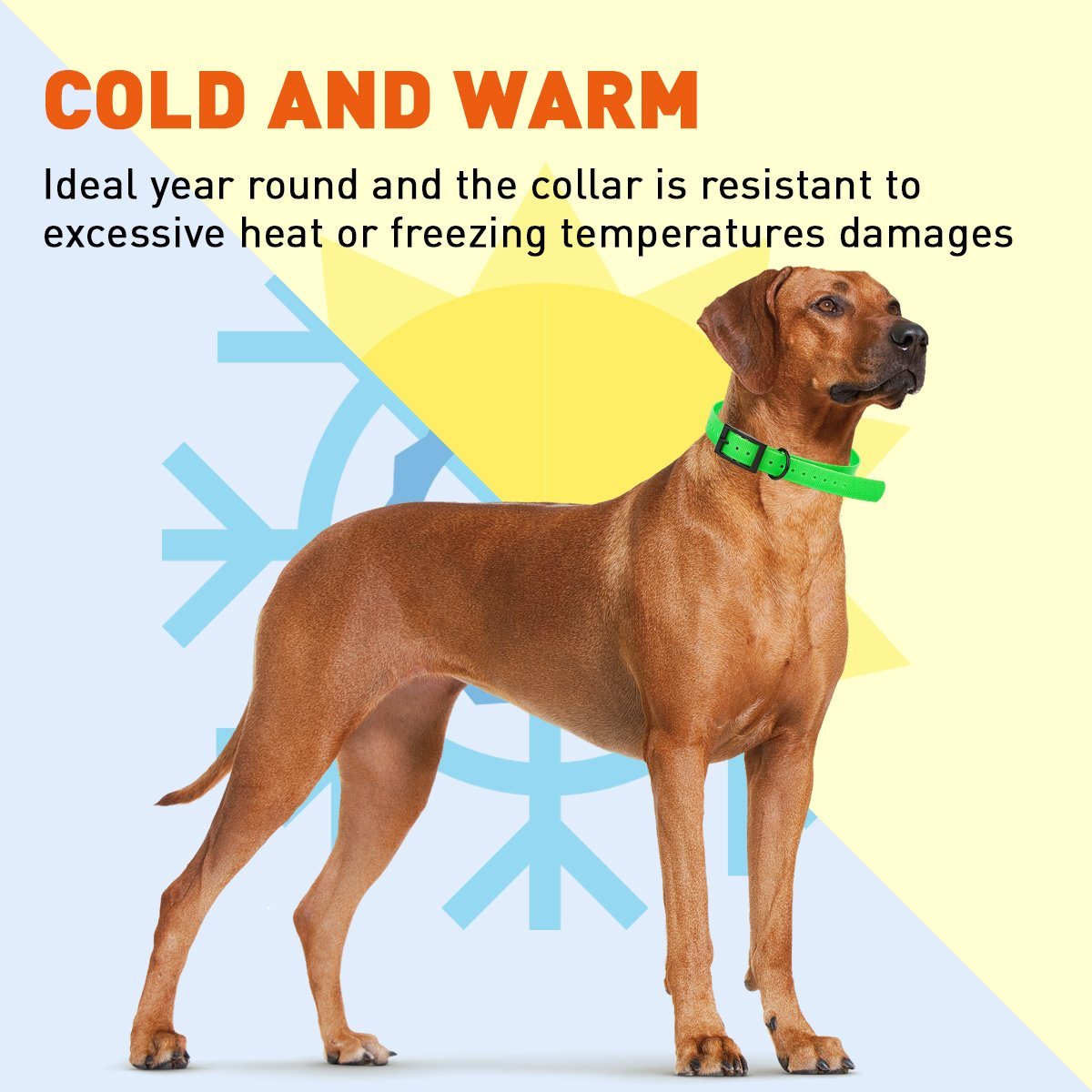 Biothane E-Collar Replacement Strap Dog Collars Dogline