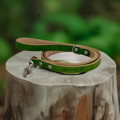 handmade leather dog leash Dog Leashes rōmng