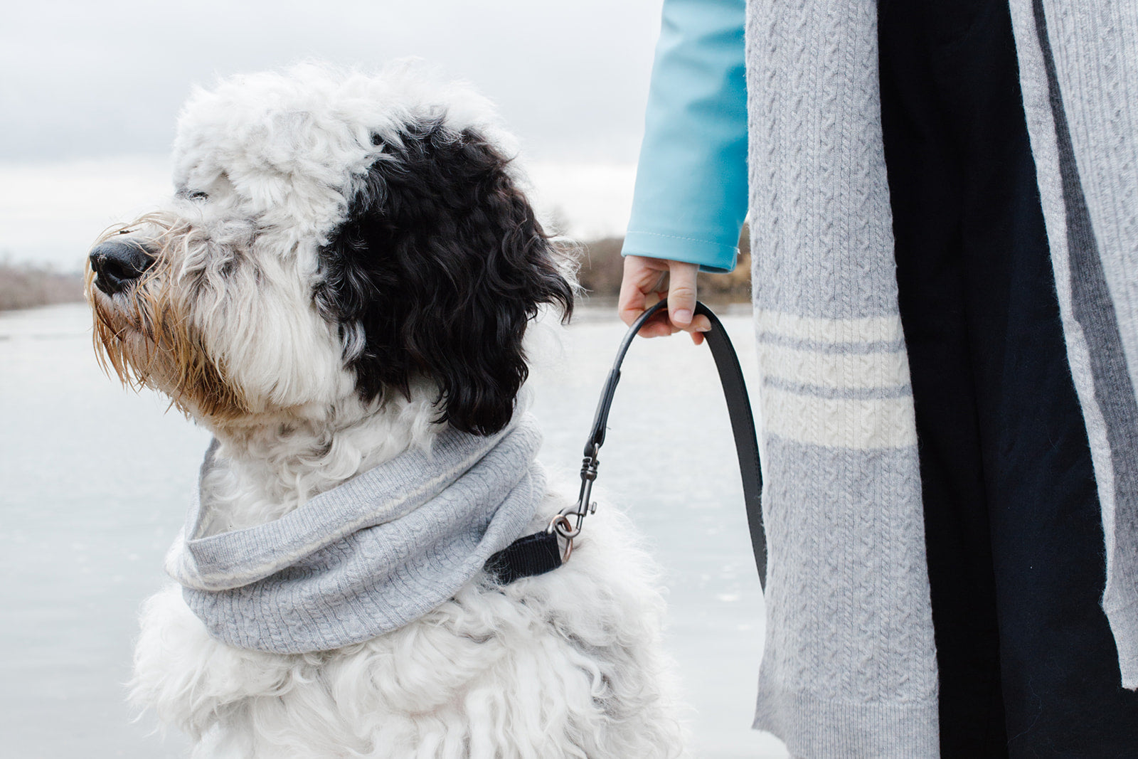 Cashmere Blend Scarf sets for Pets and their humans, Heather Grey BANDANA BESPOKE PAWS