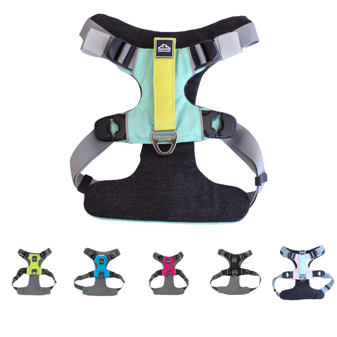 Everyday Adventure Dog Harness HARNESS Alpha Pak