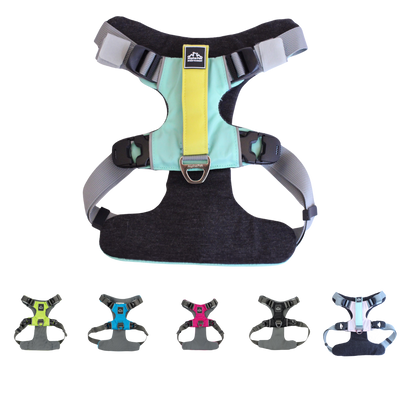 Everyday Adventure Dog Harness HARNESS Alpha Pak