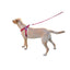 Comfort Microfiber Flat Step-In Dog Harness Dog Harnesses Dogline