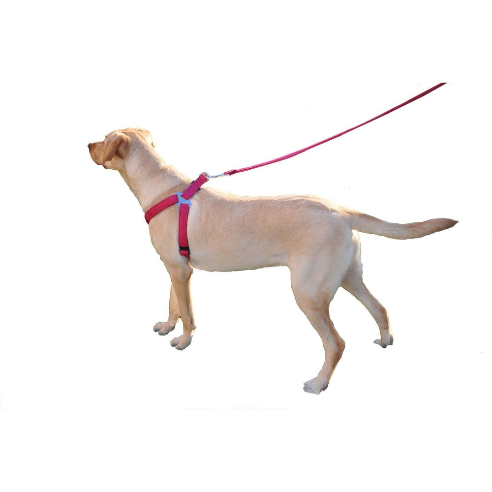 Comfort Microfiber Flat Step-In Dog Harness Dog Harnesses Dogline
