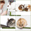 Natural Timothy Grass Stick, Chew Toys for Rabbit, Guinea Pig, Hamster, and Other Small Animals Dahlia Pets