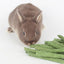Natural Timothy Grass Stick, Chew Toys for Rabbit, Guinea Pig, Hamster, and Other Small Animals Dahlia Pets