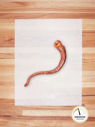 Hog Tail Chews Farm Hounds