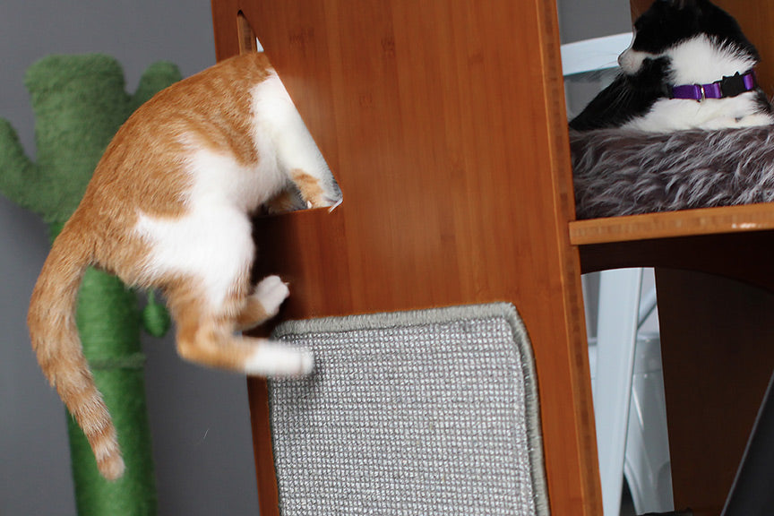 The Overlook - Sturdy - Bamboo Cat Tree Cat Condo Catastrophic Creations