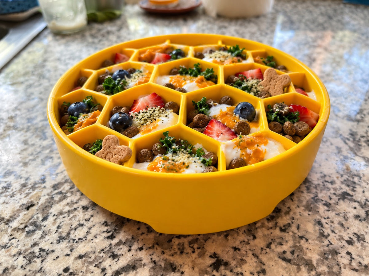Honeycomb eBowl Deep Slow Feeder Dog Bowl for Enrichment | USA Made EBOWL SodaPup/True Dogs, LLC