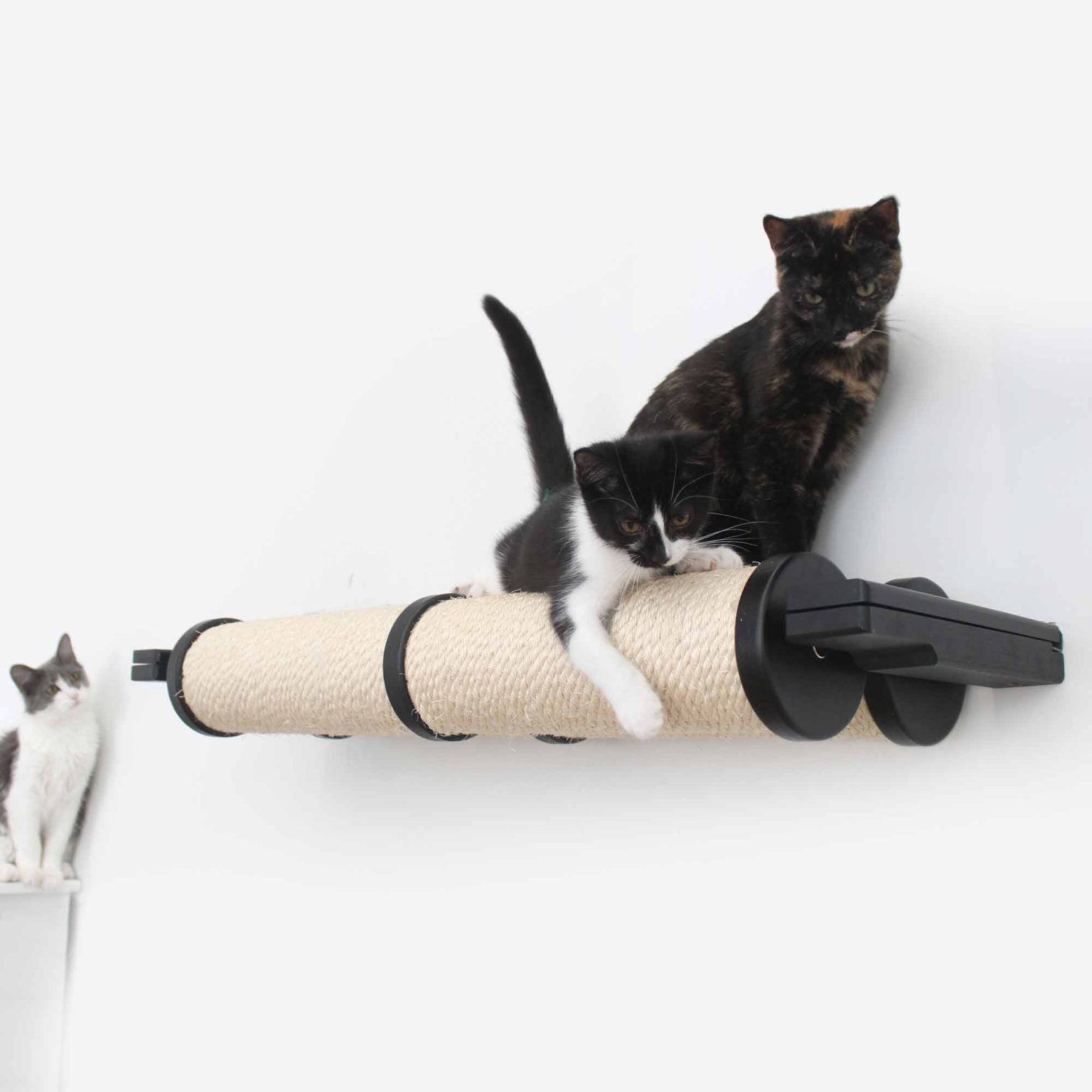 Horizontal Scratching Post for Cats Cat Scratcher Catastrophic Creations