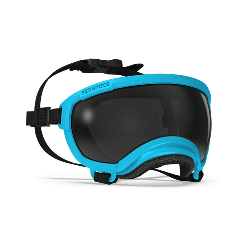 Rex Specs - Goggles for Dogs - V2 Horn Blue Dog Eye Protection Rex Specs