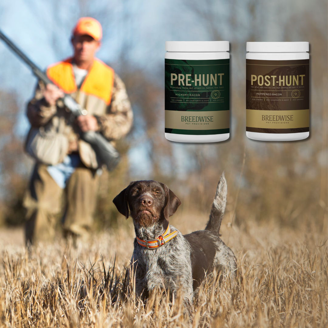 Breedwise Pre & Post-HUNT Soft Dog Chews - Bundle Dog Treat Breedwise Pet Provisions