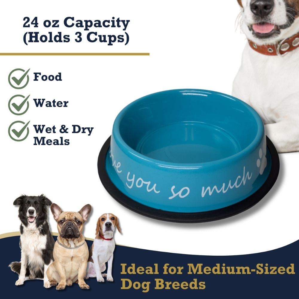 I LOVE YOU SO MUCH Modern Stainless Steel Dog Bowl – 24oz Pet Suppplies American Pet Supplies