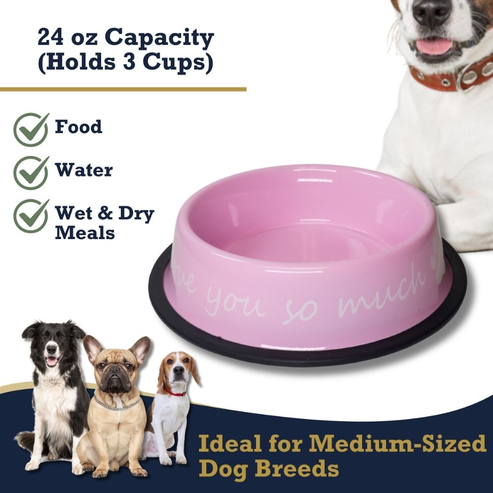 I LOVE YOU SO MUCH Modern Stainless Steel Dog Bowl – 24oz Pet Suppplies American Pet Supplies