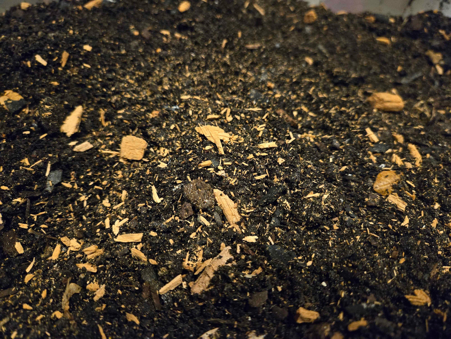 Premium Isopod Substrate - Nutrient-Rich Bioactive Terrarium Mix 4 Gallon Soil Shield Wall Exotics