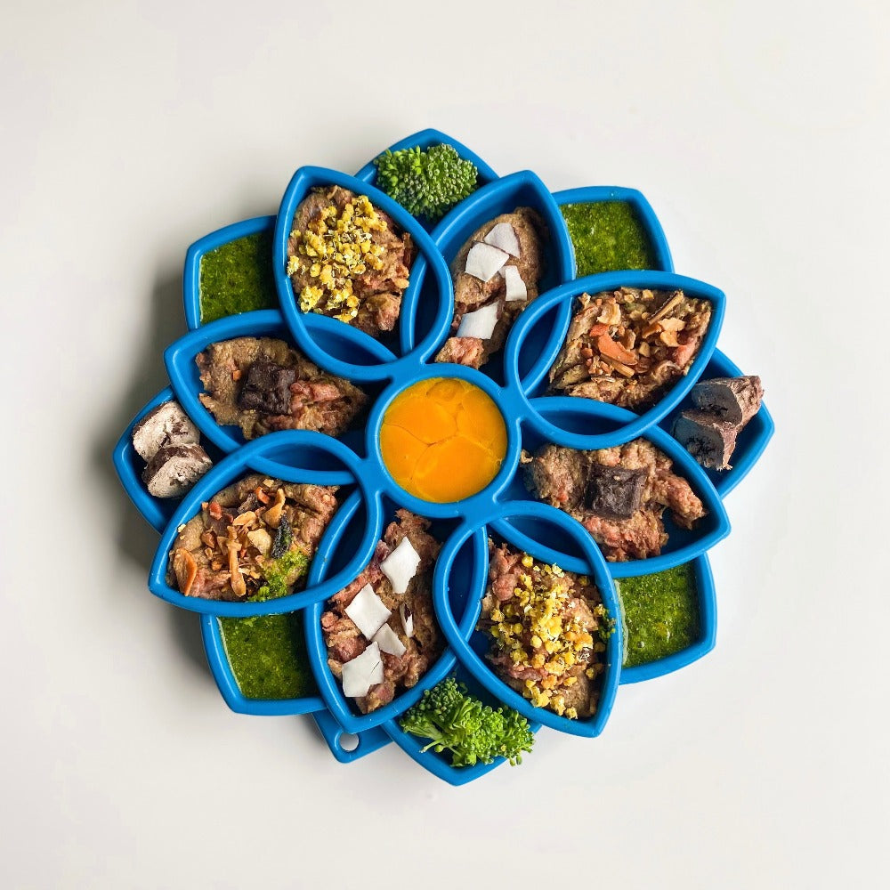 Mandala eTray Shallow Slow Feeder Dog Bowl for Enrichment | USA Made ETRAY SodaPup/True Dogs, LLC