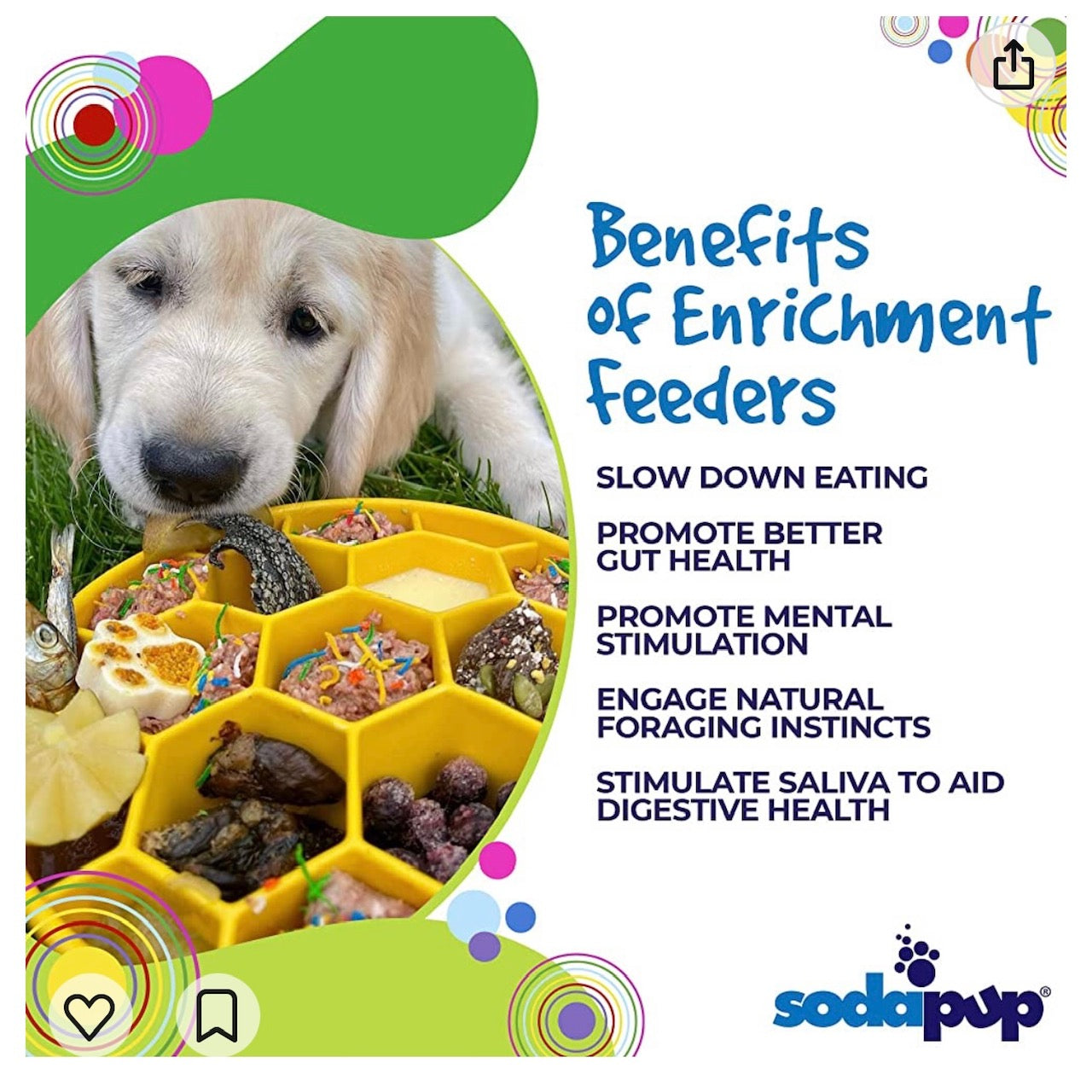 Honeycomb eBowl Deep Slow Feeder Dog Bowl for Enrichment | USA Made EBOWL SodaPup/True Dogs, LLC