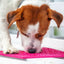 Flower Power emat - Enrichment Lick Mat for Dogs and Cats | Flower Design | USA Made EMAT SodaPup/True Dogs, LLC