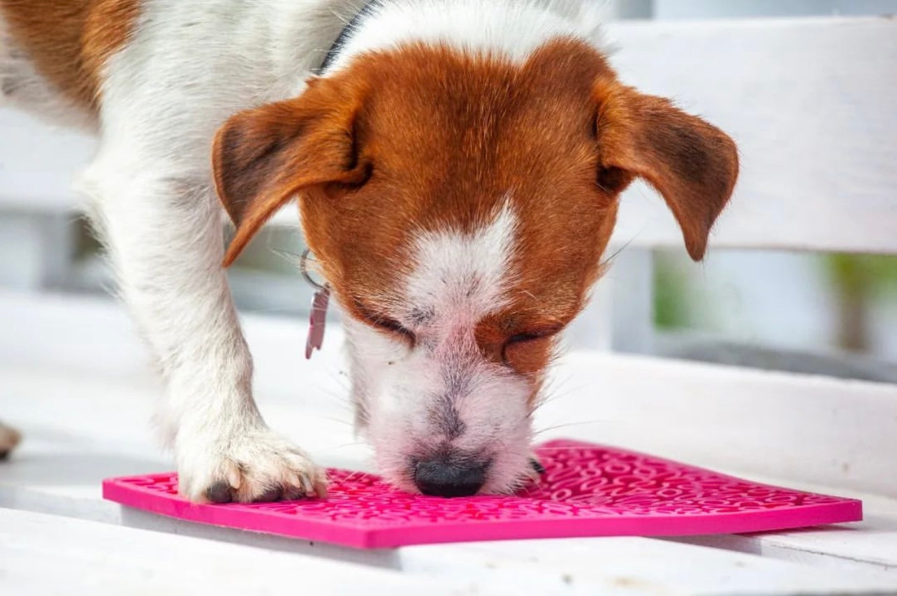 Flower Power emat - Enrichment Lick Mat for Dogs and Cats | Flower Design | USA Made EMAT SodaPup/True Dogs, LLC