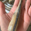 Smelt (Wild Caught) - Limit 1 Naked Beasts