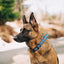 Biothane E-Collar Replacement Reflective Strap Dog Collars Dogline