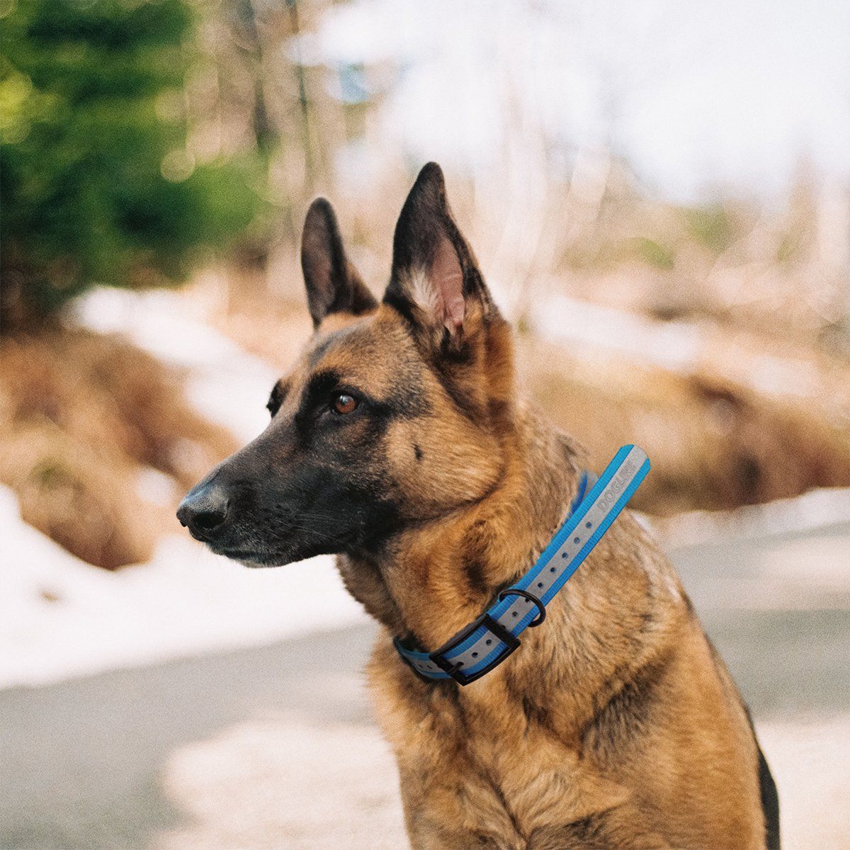 Biothane E-Collar Replacement Reflective Strap Dog Collars Dogline