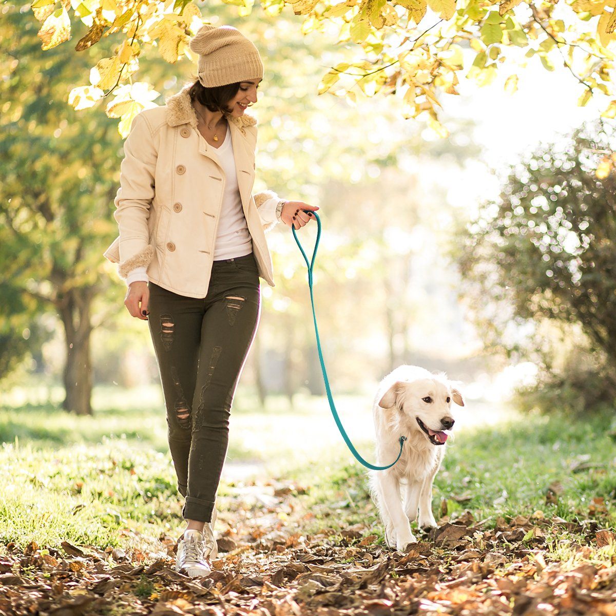 Viper Biothane Long Line 15 ft Lead with Brass Hardware Dog Leashes Dogline
