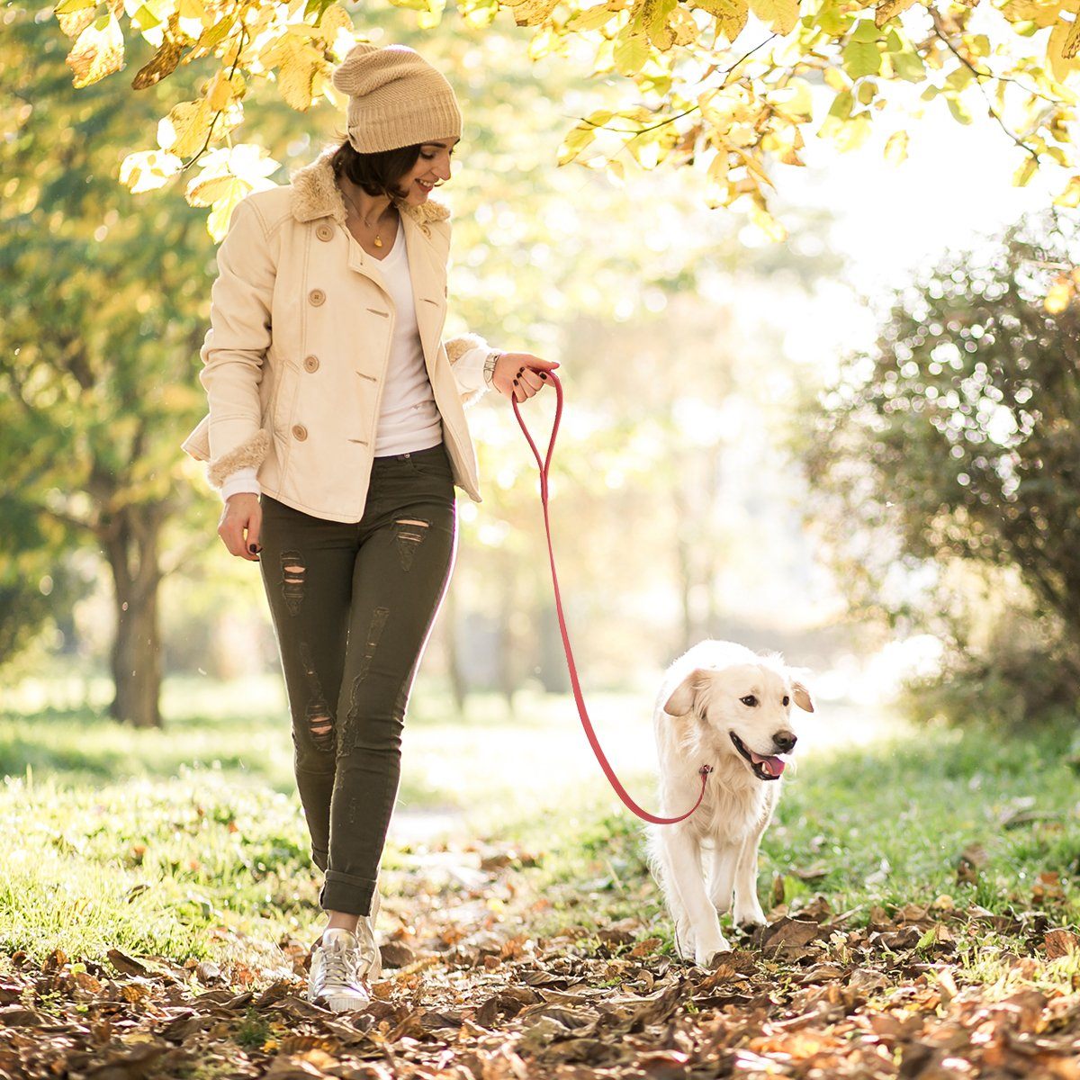 Viper Biothane Long Line 33 ft Lead with Brass Hardware Dog Leashes Dogline
