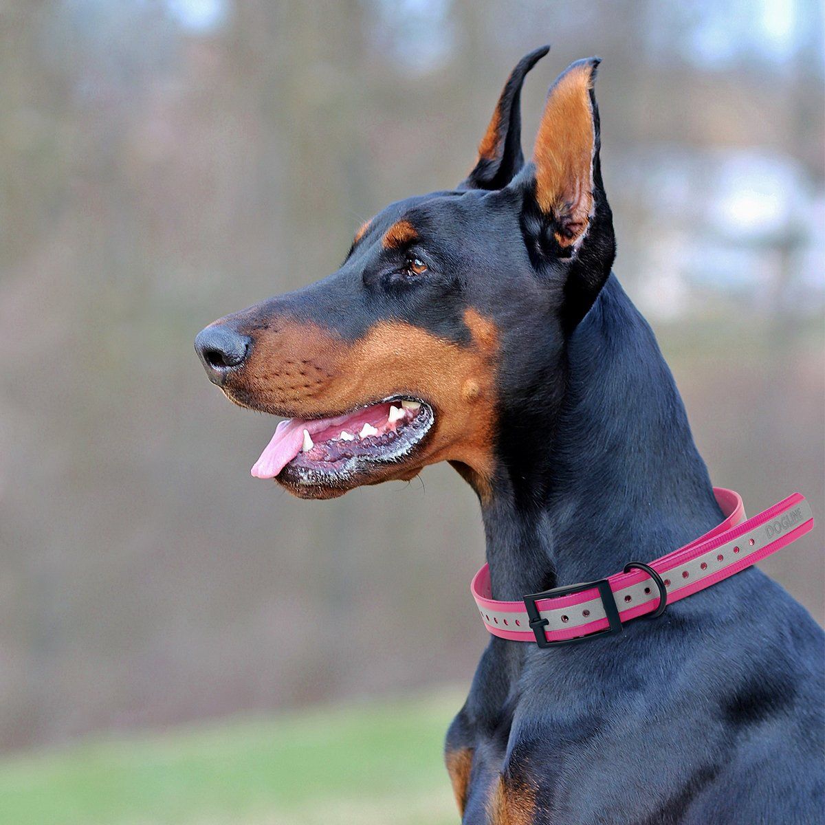 Biothane E-Collar Replacement Reflective Strap Dog Collars Dogline