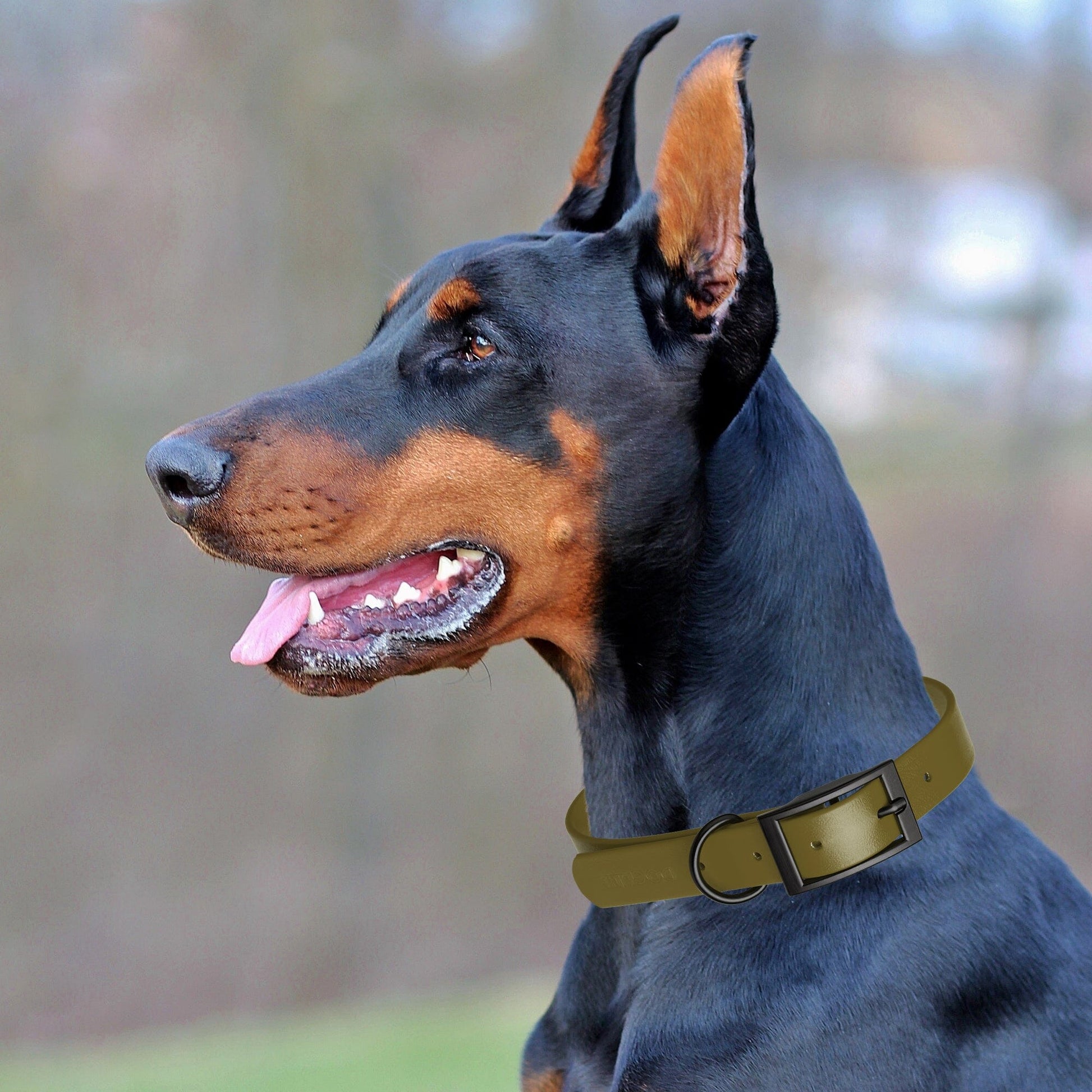 Dogline Biothane Waterproof Dog Collar with Black Hardware - Size S (12 to 15 inches) Dog Collars Dogline