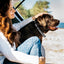 Biothane E-Collar Replacement Reflective Strap Dog Collars Dogline