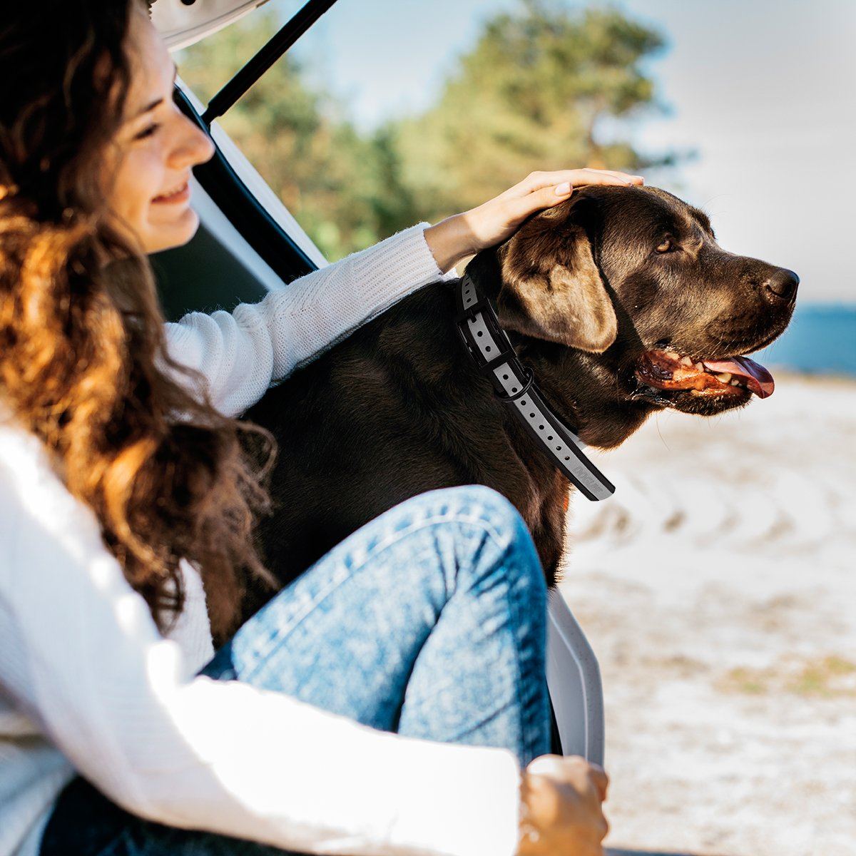 Biothane E-Collar Replacement Reflective Strap Dog Collars Dogline
