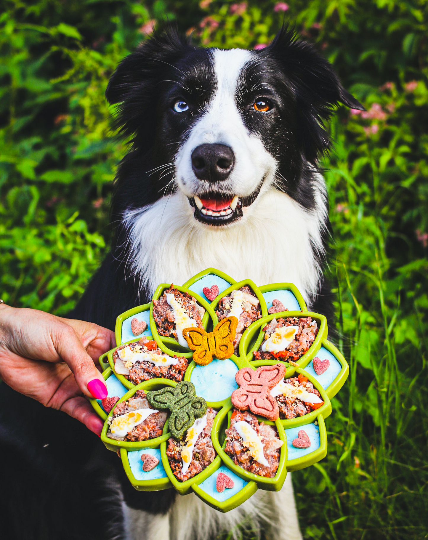 Mandala eTray Shallow Slow Feeder Dog Bowl for Enrichment | USA Made ETRAY SodaPup/True Dogs, LLC