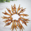 Chicken Feet Naked Beasts