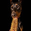 Beef Trachea (Grass Fed & Finished) Naked Beasts