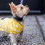 BP X BH Check Sweater vest Sweaters BESPOKE PAWS