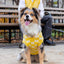 BP X BH Check Sweater vest Sweaters BESPOKE PAWS