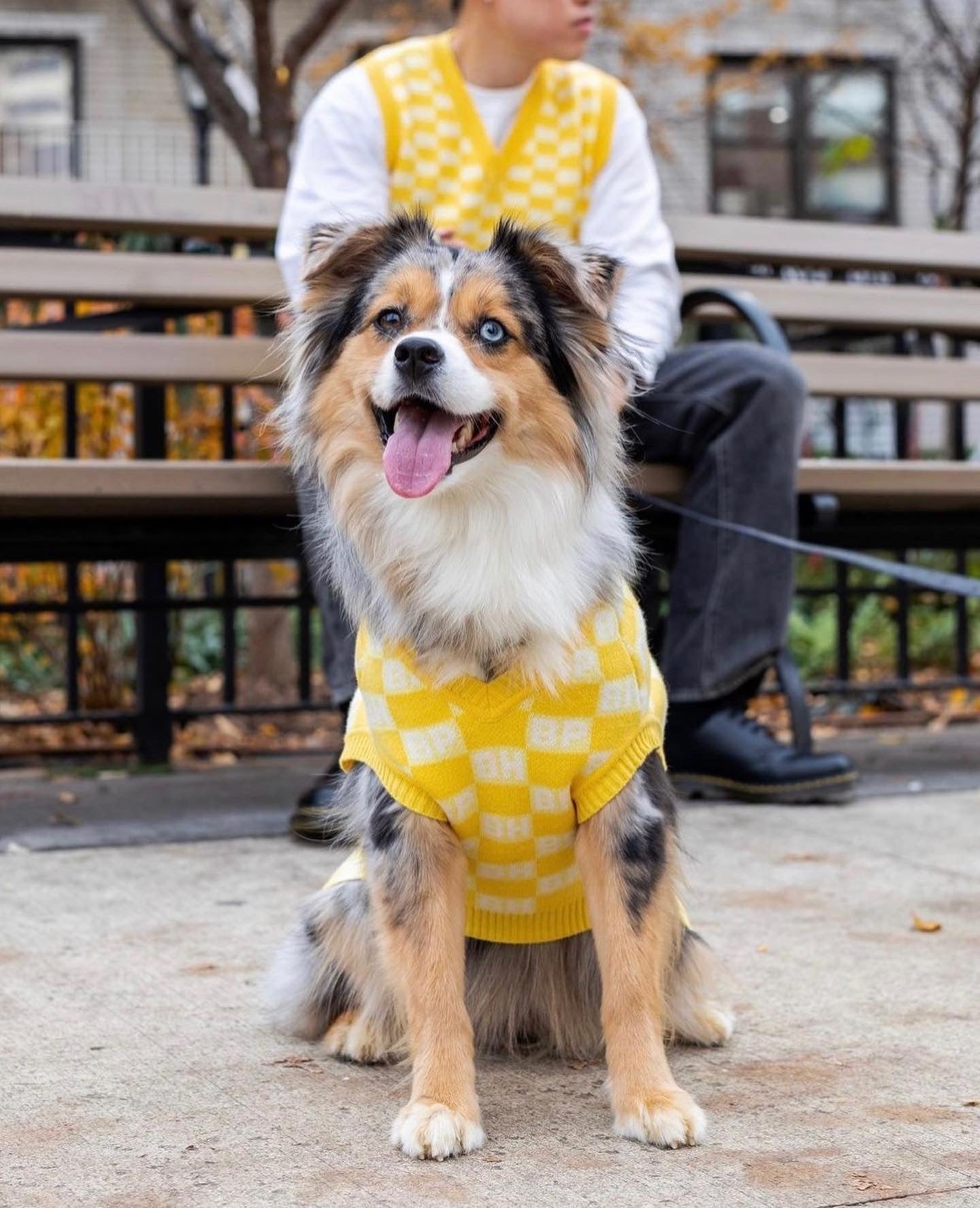 BP X BH Check Sweater vest Sweaters BESPOKE PAWS