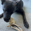 Lamb Ears (Furry & Non Fur) Naked Beasts