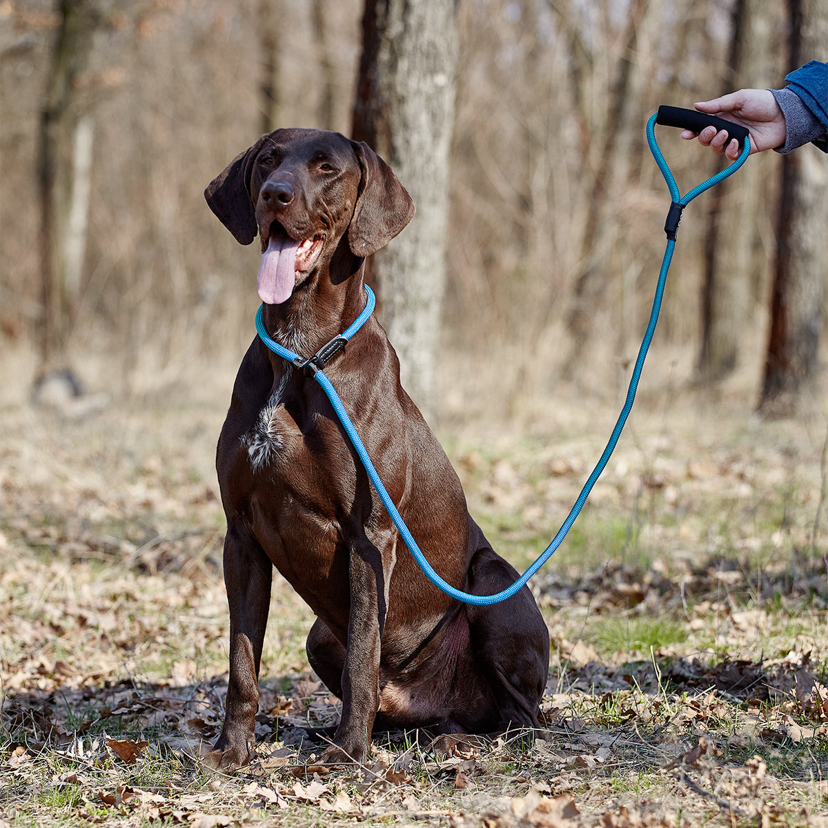 Round Nylon Slip Lead Dog Leashes Dogline