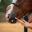 Jeffers Ivermectin Horse Dewormer Gel, Apple Flavored Animal Health & Wellness > Medicine Jeffers