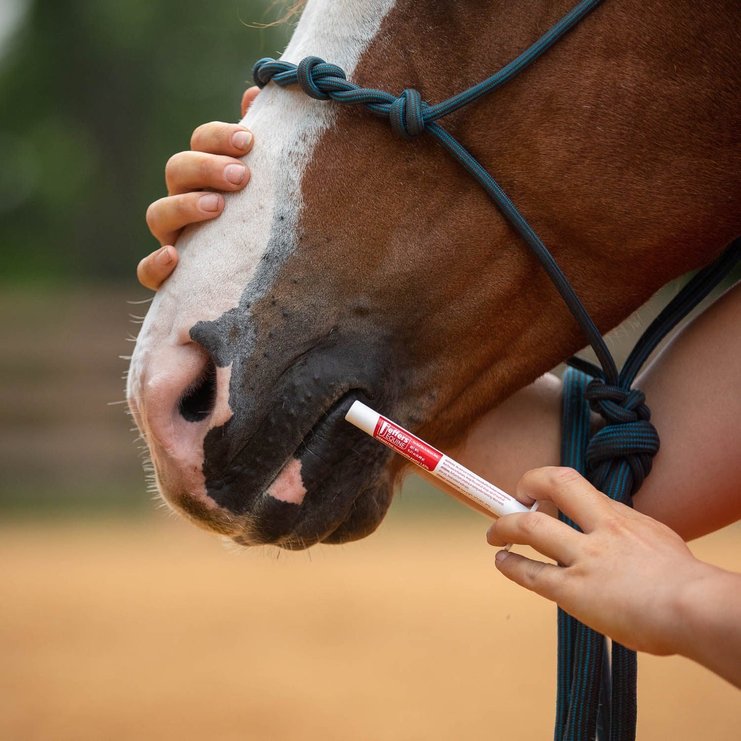 Jeffers Ivermectin Horse Dewormer Gel, Apple Flavored Animal Health & Wellness > Medicine Jeffers