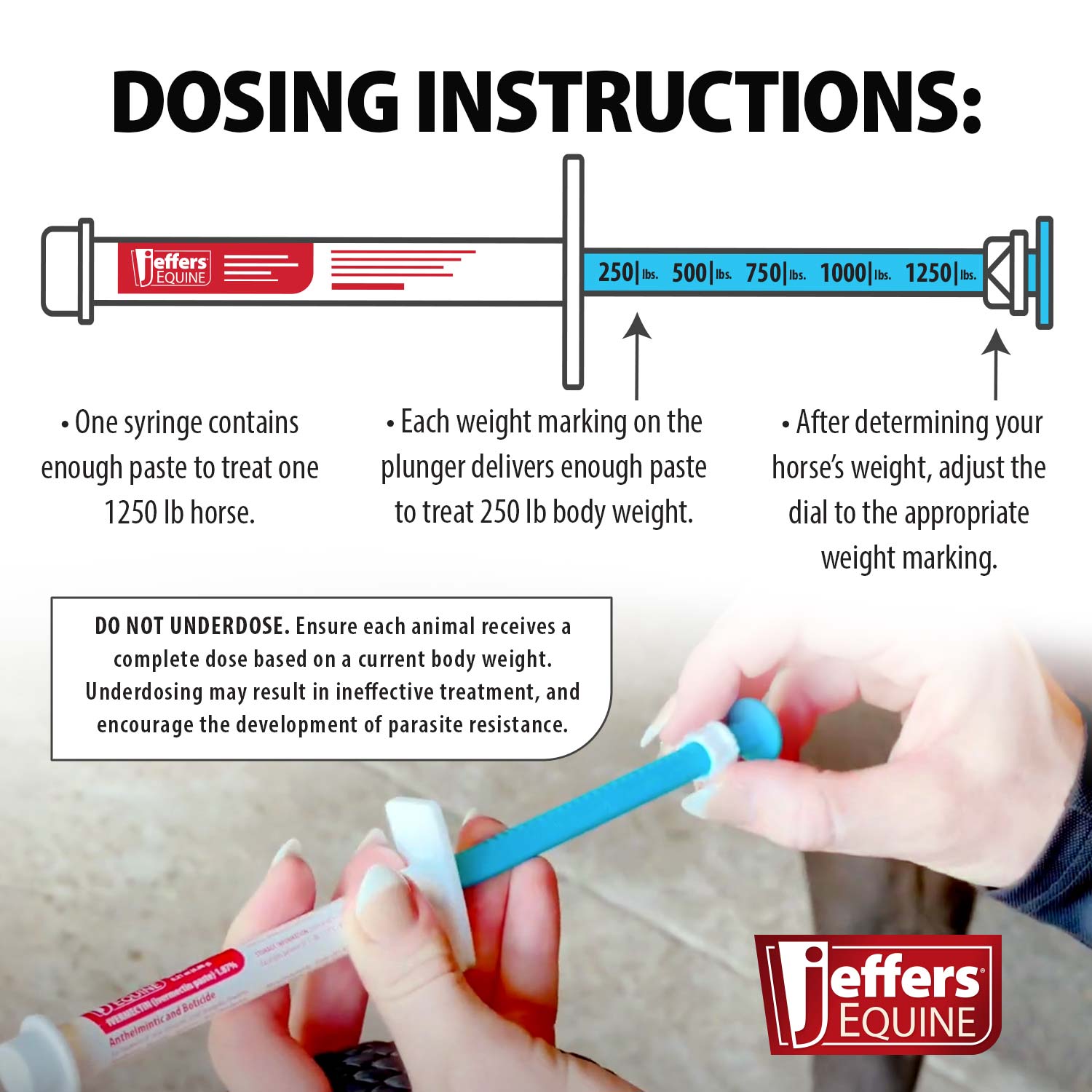 Jeffers Ivermectin Horse Dewormer Gel, Apple Flavored Animal Health & Wellness > Medicine Jeffers
