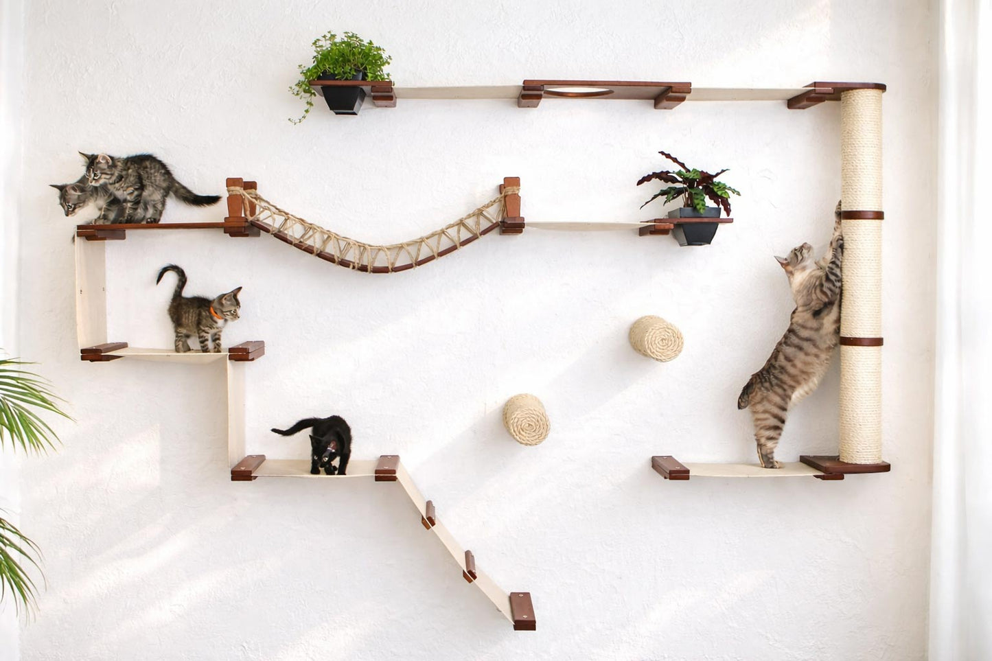 The Juggernaut - Indoor Cat Playground for Wall English Chestnut Bamboo Natural Canvas Planter Shelves Coupling Cat Condo Catastrophic Creations