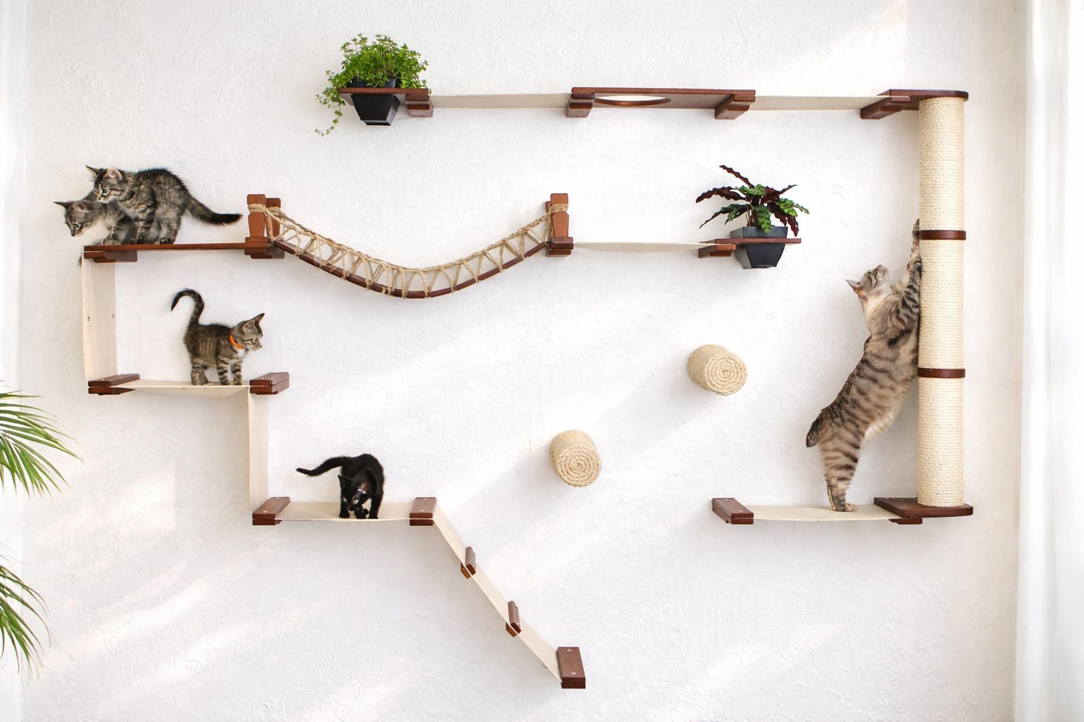 The Juggernaut - Indoor Cat Playground for Wall English Chestnut Bamboo Natural Canvas Planter Shelves Coupling Cat Condo Catastrophic Creations