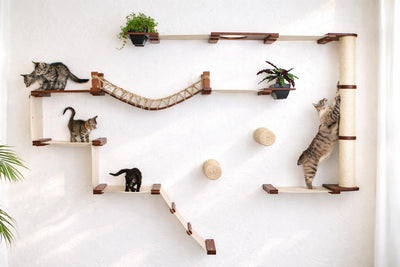 The Juggernaut - Indoor Cat Playground for Wall English Chestnut Bamboo Natural Canvas Planter Shelves Coupling Cat Condo Catastrophic Creations