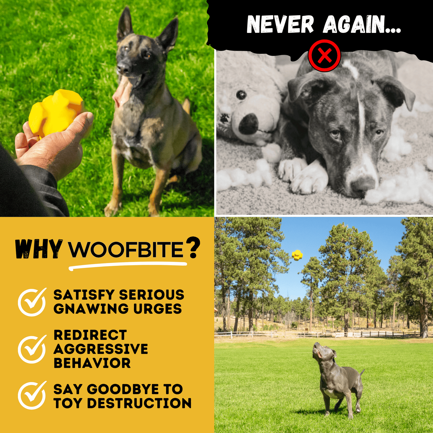 Juke Ball™ Monster K9 Dog Toys