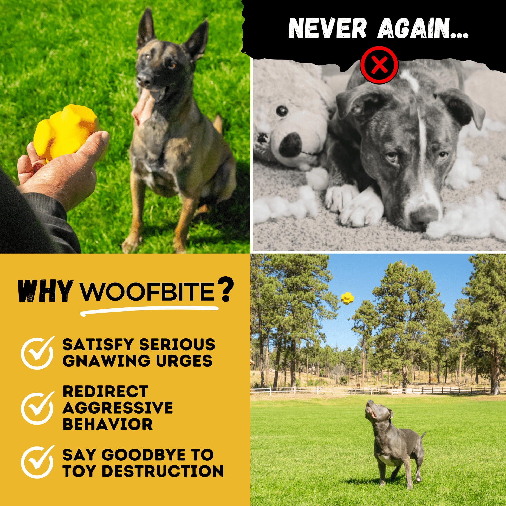 Juke Ball™ Monster K9 Dog Toys