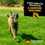 Juke Ball™ Monster K9 Dog Toys